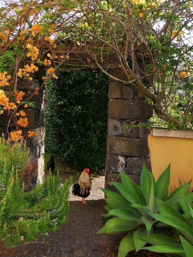 מלון הורטה Casa Da Japoneira מראה חיצוני תמונה